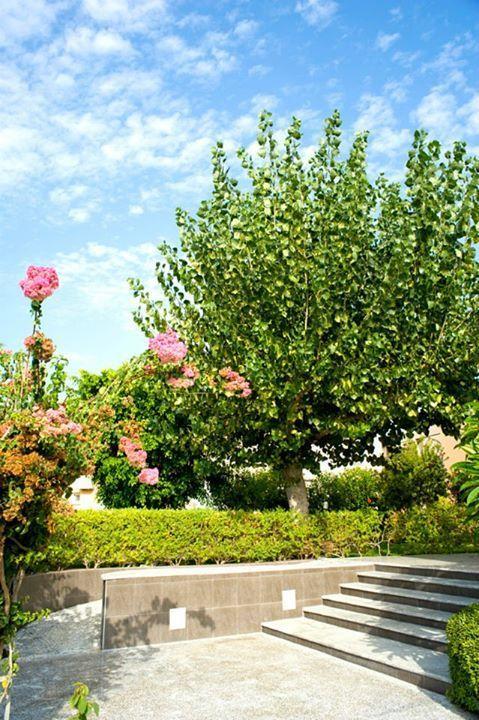 Alfa Hotel Apartments Jeráni Haníon Kültér fotó